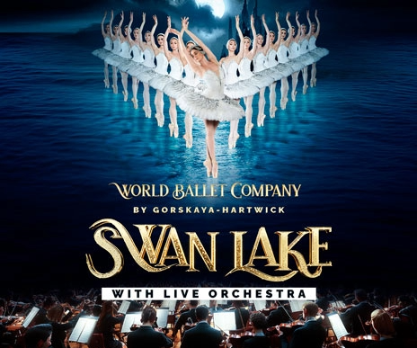 Swan Lake Image